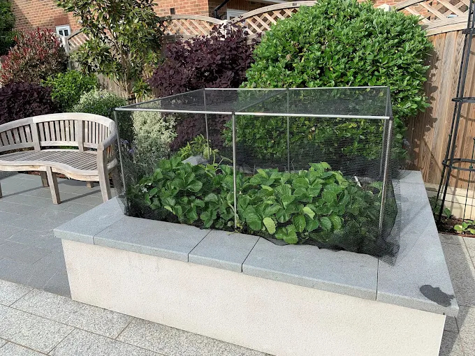 Ecommerce Retailer Boosts Order Fulfilment